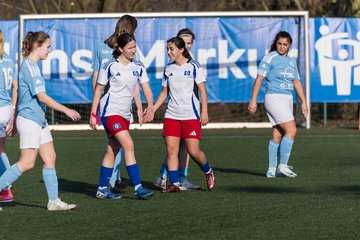 Bild 347 - F Hamburger SV 3 - Blau-Weiss 96 : Ergebnis: 5:1